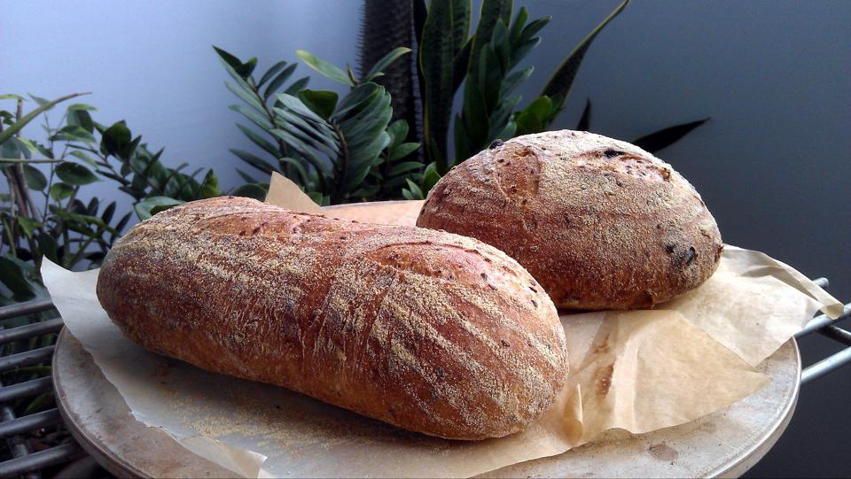 Sprouted Rye sourdough with toasted flax seeds The Fresh Loaf